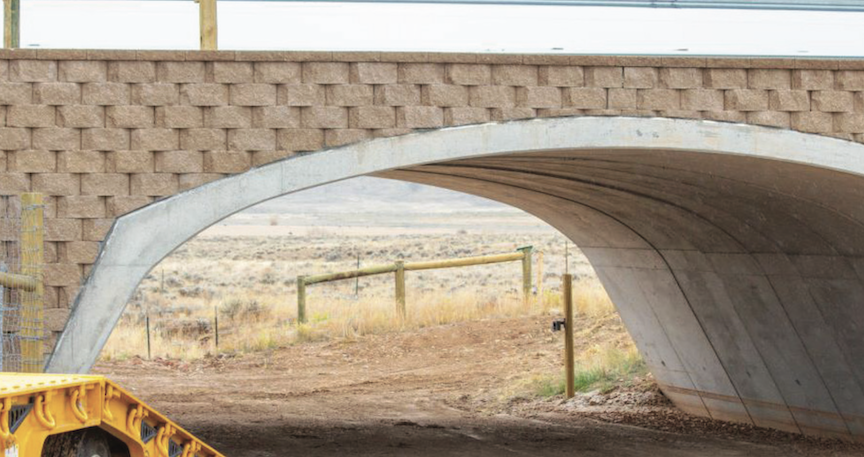 SVI Radio Interview: Jennifer Hoffman – Wildlife Crossing Project on Highway 189
