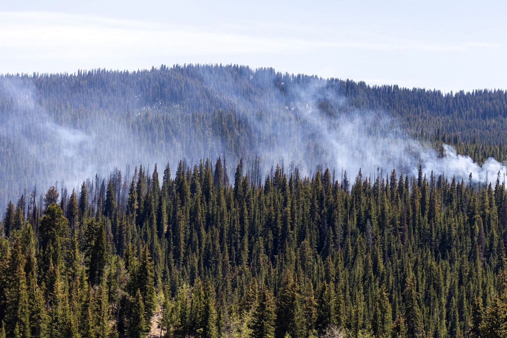 Spread Creek Fire was the Bridger-Teton’s largest-ever May wildfire