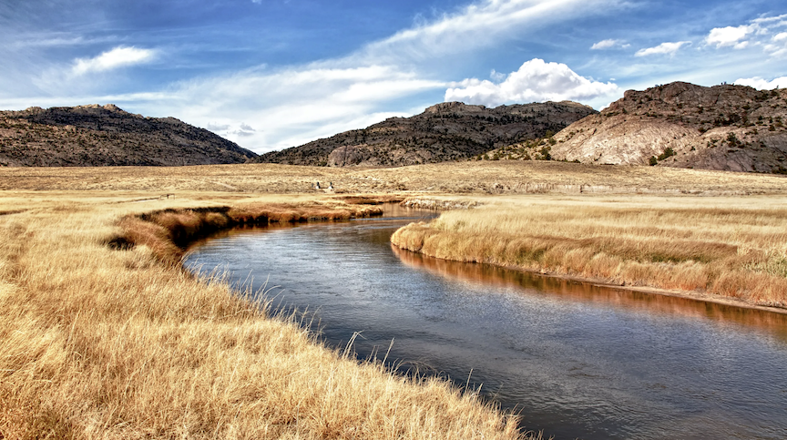 New Nonprofit Forms to Advance Long-Term Stewardship of Martin’s Cove