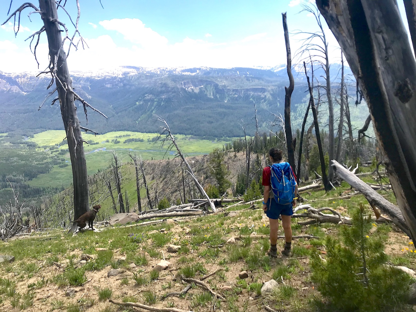 Chief Tom Schultz details, defends largest Forest Service reorganization in a century