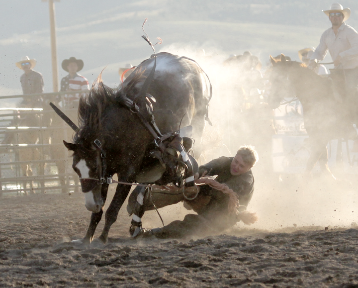 Senate Declares July 25 the National Day of the American Cowboy