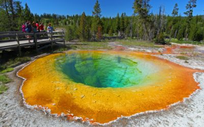 Yellowstone National Park visitation statistics drop in June